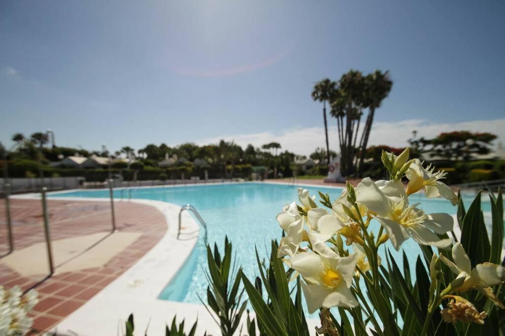 Cozy & Modern Bungalow W/Private Garden Bbq+Wifi Maspalomas  Eksteriør billede